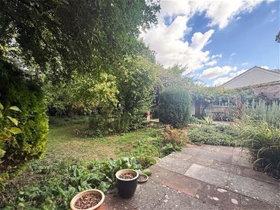 Picture 22